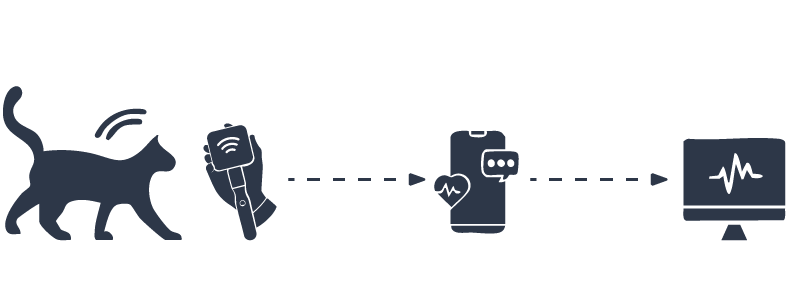 Illustration showing the operation of BioPetSensor, BioPetReader, and BioPet+