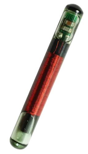 Image of the BioPetSensor Health implant